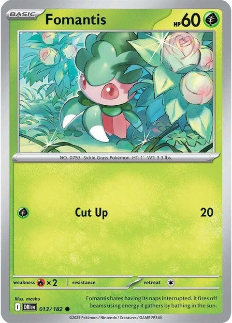 13-fomantis