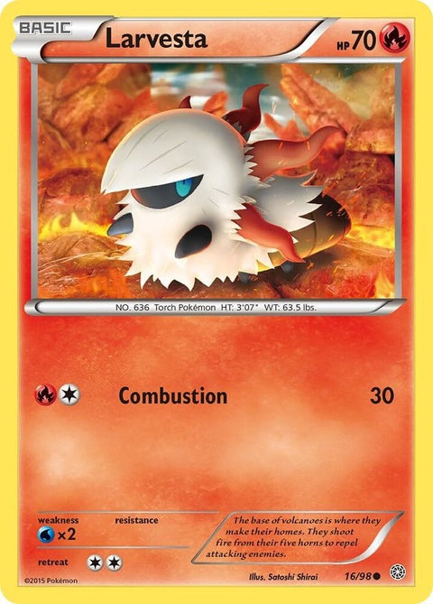 16-larvesta
