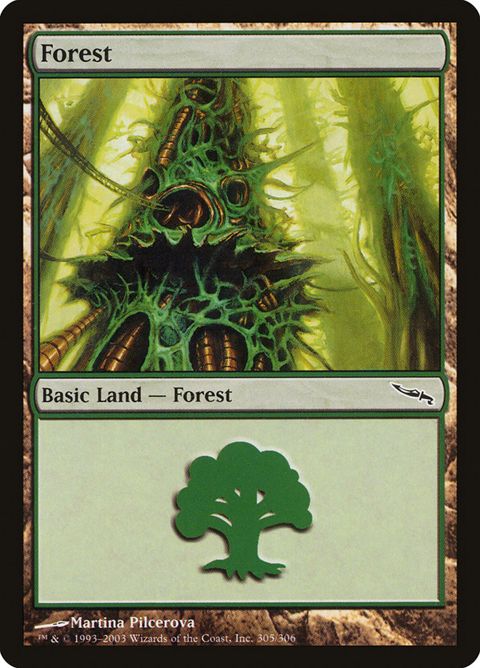 305-forest
