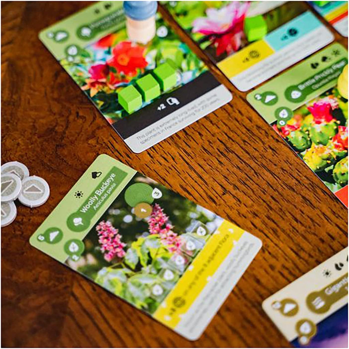 Earth | Board Game