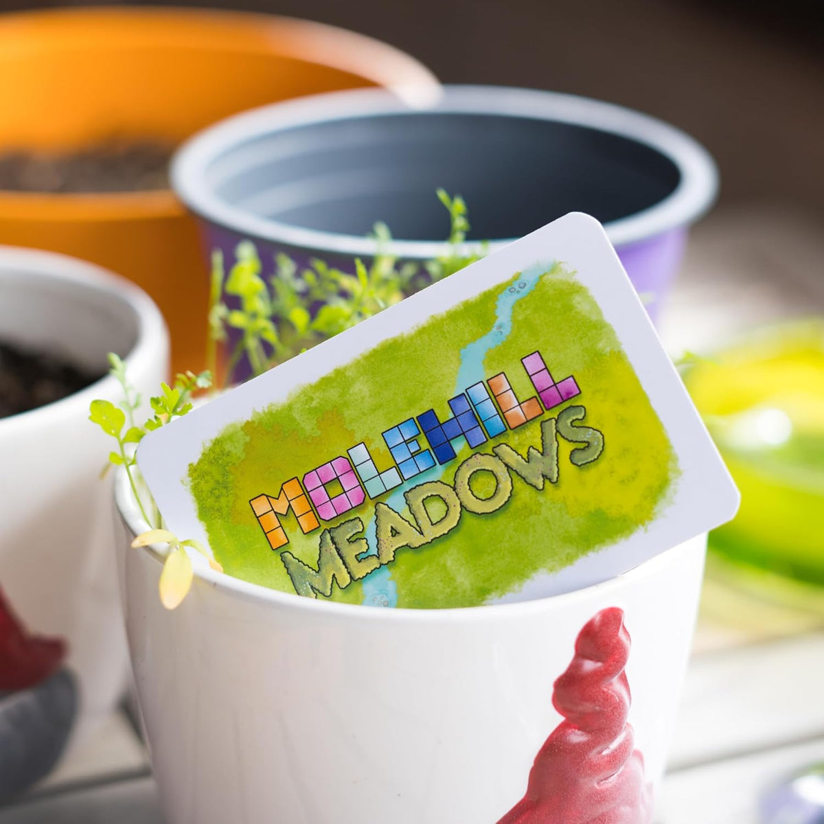 Molehill Meadows | Board Game