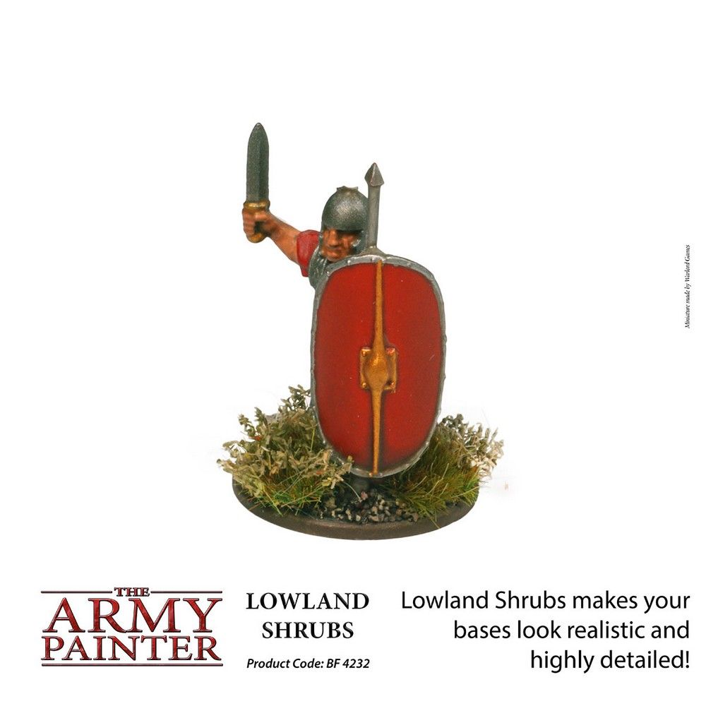 Lowland Shrubs