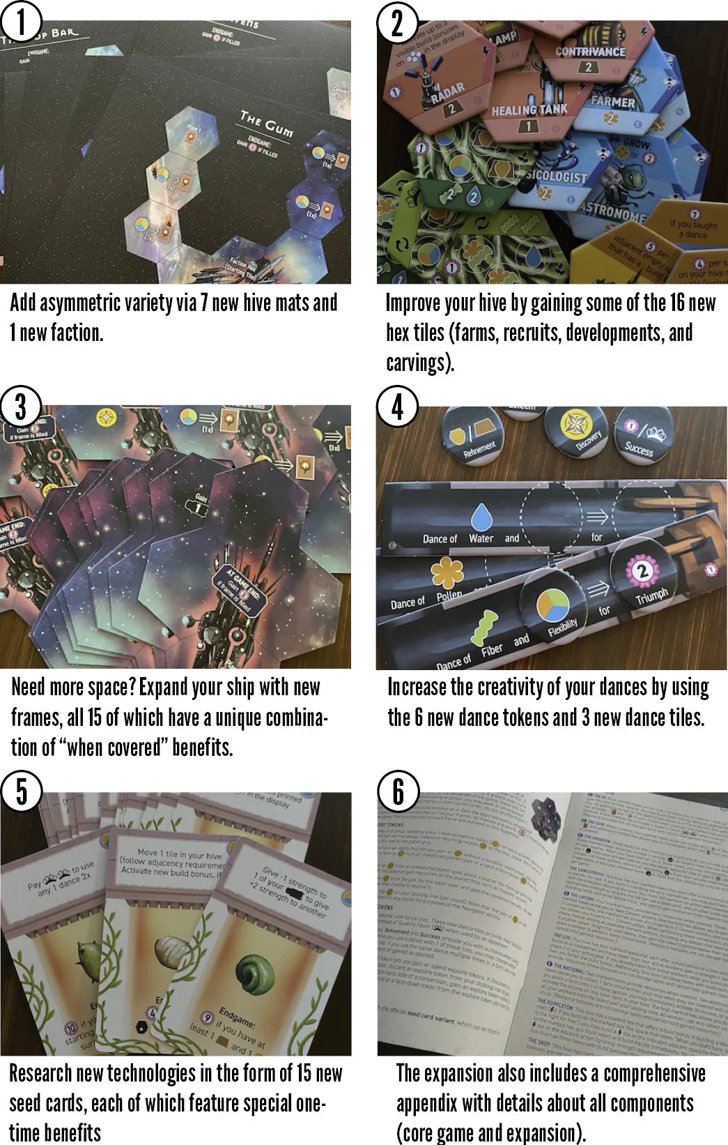 Apiary: Expanding The Hive | Board Game Expansion