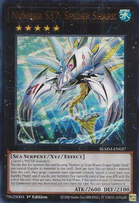 blmm-en037-numbers37spidershark